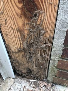 Wood around a garage door frame that has damage from termites
