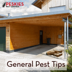 A photo showing wet cardboard boxes sitting underneath the carport outside a home with the words "general pest tips" on the image.