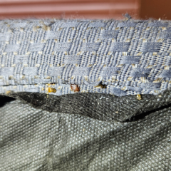 Bed bugs on a box spring in a master bathroom