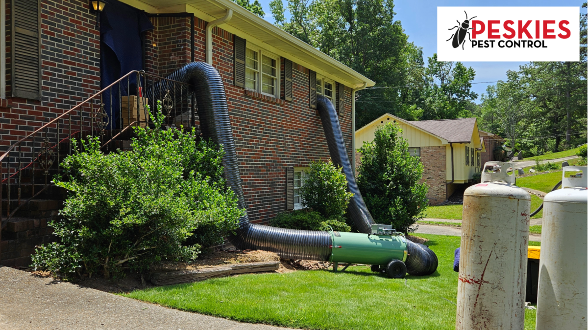 Professional bed bug heat treatment equipment in operation outside a residential brick home, featuring a propane-fired heater, large mylar ductwork running through a window and door, and several propane tanks on the lawn.