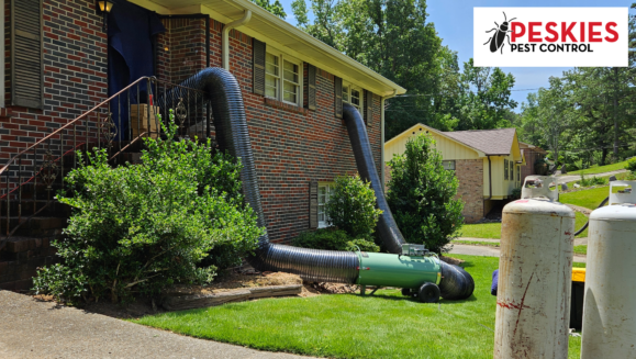 Professional bed bug heat treatment equipment in operation outside a residential brick home, featuring a propane-fired heater, large mylar ductwork running through a window and door, and several propane tanks on the lawn.