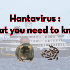 A graphic titled "Hantavirus: What you need to know!" featuring a faded background image of the cruise ship MV Hondius at sea. In the foreground, there is a realistic image of a brown rodent next to a small pile of rodent droppings. The Peskies Pest Control logo is visible in the top right corner.