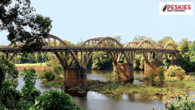 The historic Bibb Graves Bridge spanning the Coosa River in Wetumpka, Alabama, showcasing its signature concrete arches and support pillars over calm water with lush green foliage in the foreground.