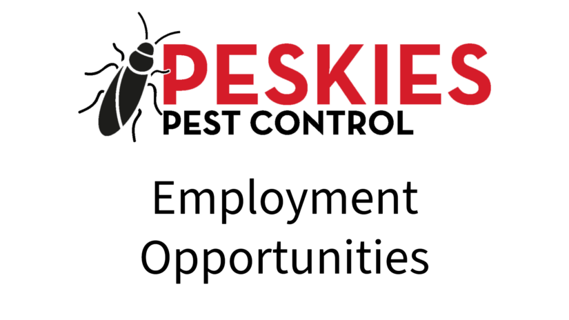 An image featuring the logo for Peskies Pest Control at the top. The logo consists of a stylized black insect graphic to the left of the company name, where "PESKIES" is written in large red block letters and "PEST CONTROL" is written underneath in smaller black block letters. Below the logo, the text "Employment Opportunities" is written in a clean, black, sans-serif font centered against a solid white background.