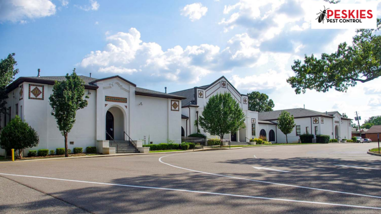 The historic exterior facade of Holtville High School in Holtville, Alabama, displaying its distinctive white stucco walls, arched entryways, and decorative tile accents next to a parking lot under a blue sky with fluffy white clouds.