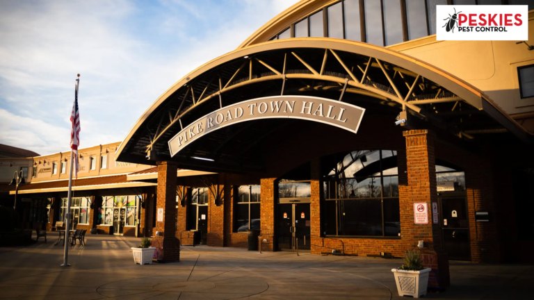 Alt Text: The exterior entrance of the Pike Road Town Hall building in Pike Road, Alabama, featuring a large arched sign over the brick entryway, large windows, and an American flag flying at sunset.