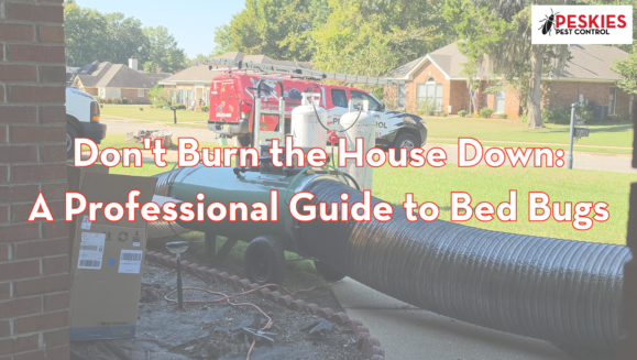 Professional propane bed bug heater with large black ductwork running into a house, with Peskies Pest Control service trucks parked in the background.